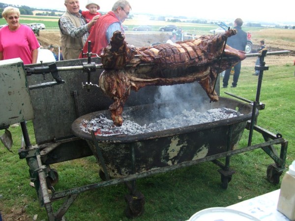 Spanferkel in Hohenwepel.JPG