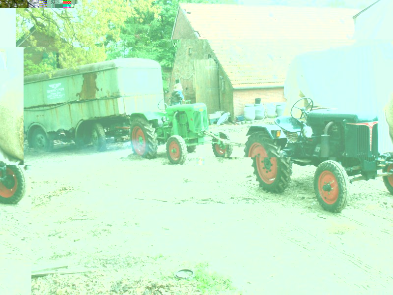040.JPG