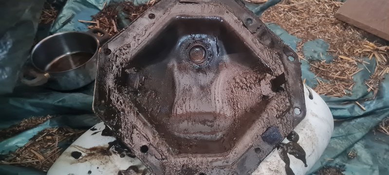 20230603_190657.jpg